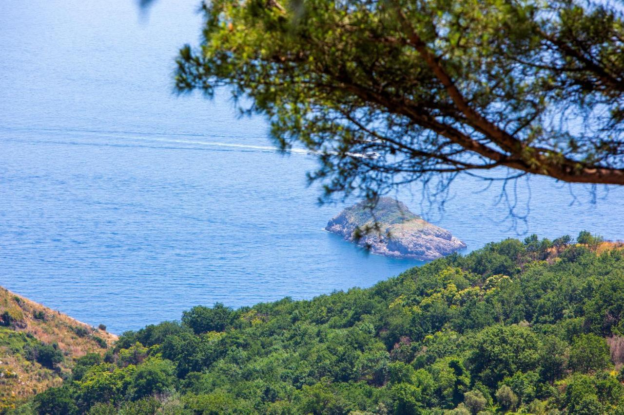 Villa Fedora Sea&Stars Massa Lubrense Luaran gambar